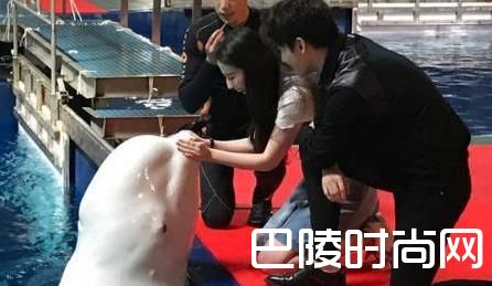 刘亦菲亲吻白鲸杨洋一旁单膝跪地  三生三世路演画面太美
