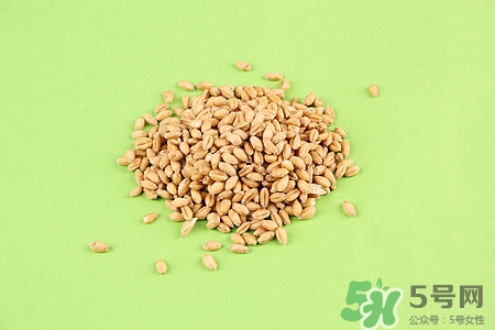 小麦胚芽怎么吃?小麦胚芽的功效与作用