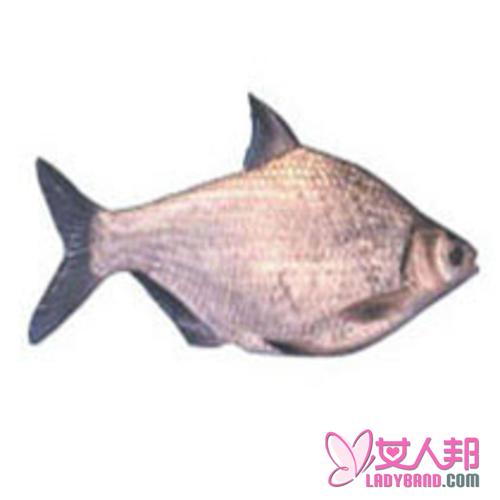 武昌鱼的功效与作用及食用方法_武昌鱼的营养价值