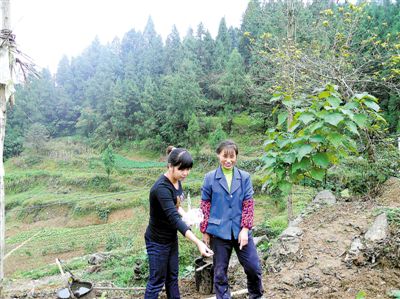 学习周晓琳 周晓琳(左)到田间地头学习农业生产技术  重庆彭水县宣传部供图