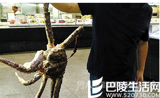 掉包?游客广州花4000元吃帝王蟹 上桌后发现是死蟹