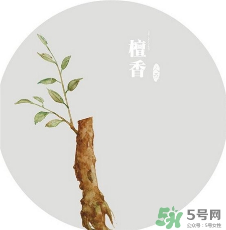 >点檀香的好处 檀香的功效与作用