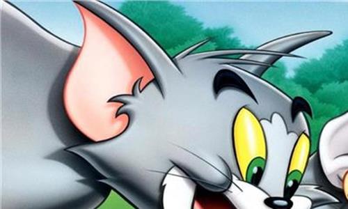 猫和老鼠电影版大全 猫鼠游戏升级 《猫和老鼠》真人版电影筹备中