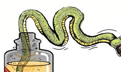 蛇酒泡制方法 自己泡制蛇酒有哪些技术要点?