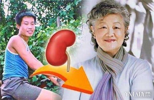 >聂树斌的肾哪去了章含之用了聂树斌的肾 死囚器官都去哪儿了【图】