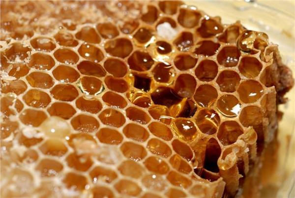 >杨葵花蜂蜜 杨槐花蜂蜜蜂蜜好处作用营养价值