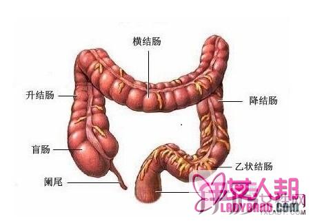>结肠炎严重吗 专家解说其五大危害