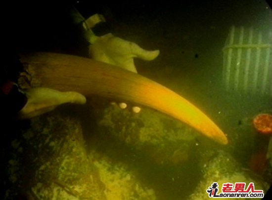 >全球12大水下考古发现【组图】