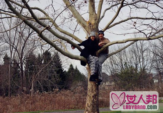 王力宏和老婆爬树庆祝结婚两周年 网友：这树会火