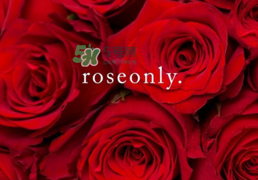 >2017七夕礼盒roseonly多少钱？roseonly巨型玫瑰礼盒多少钱？