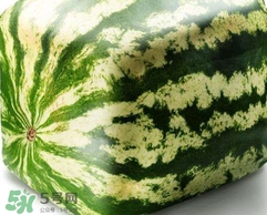 方形西瓜是如何种出来的？方形西瓜是怎么长成的
