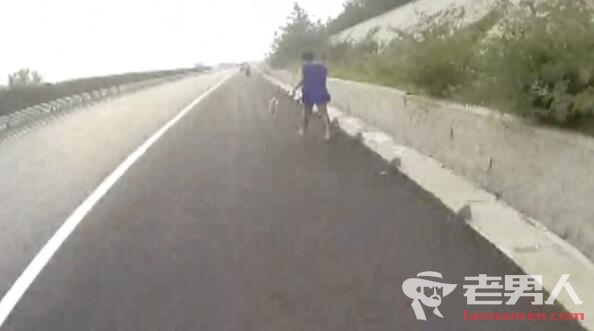 女子高速公路上遛狗 网友称看完捏了一把汗