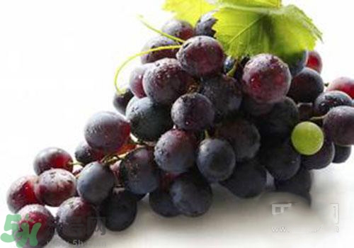 葡萄和什么一起榨汁好喝？葡萄和什么水果一起榨汁？