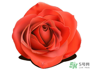 母亲节送什么颜色的玫瑰花？母亲节送几朵玫瑰花？