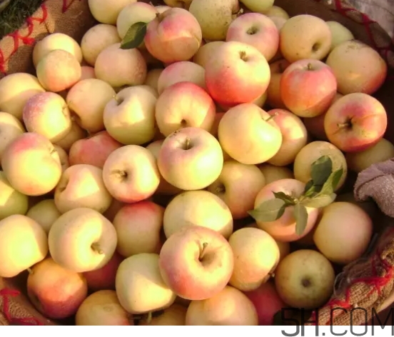 美八苹果价格多少钱？美八苹果多少钱一斤？
