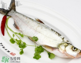 >白条鱼多少钱一斤2017？野生白条鱼多少钱一斤