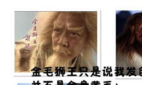 金庸群侠传5黛绮丝 黛绮丝为什么要选择韩千叶 而不是选择范遥呢?