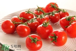 怎样种植小番茄？小番茄怎么种