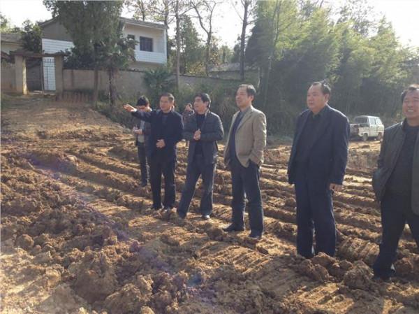 芜湖市市长潘朝晖调职 芜湖市长潘朝晖调研水利工程建设和基层基础工作