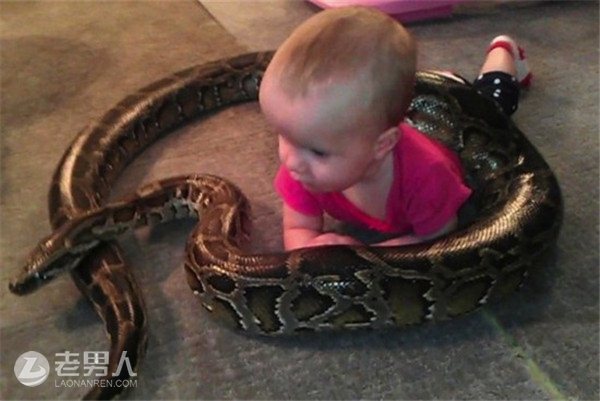 野蛇闯入家中吓坏众人 2岁宝宝却徒手捉拿当玩具