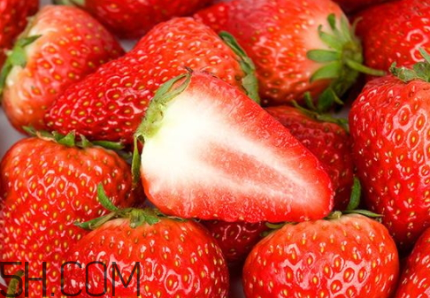 >丹东草莓什么时候成熟季节 丹东九九草莓上市时间