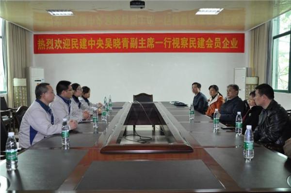 吴晓青中医 吴晓青代表民建中央发言建议提升中小城市功能定位
