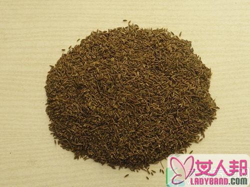 调味料能当中药 小茴香冲茶喝