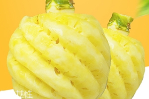 泰国迷你小菠萝多少钱一斤？mini小菠萝火遍泰国