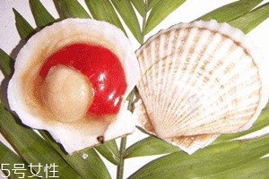>虾夷扇贝和扇贝的区别 虾夷扇贝红色部分能吃吗