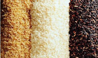 哪种大米营养价值高