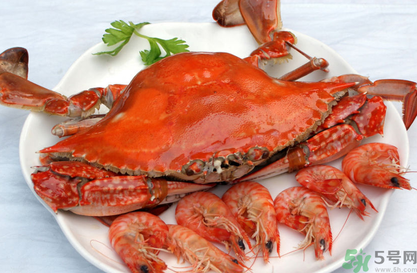 河蟹什么时候最肥？河蟹什么时候吃最好？