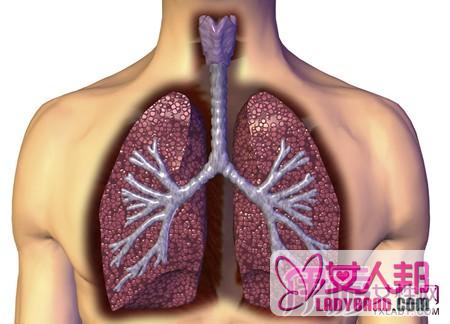 肺部疾病的症状有哪些？ 肺部疾病的饮食禁忌有哪些