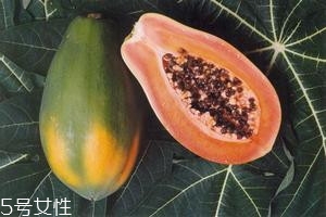 >番木瓜是转基因吗 为什么木瓜大多都是转基因