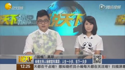 瑶淼离开央视 杨柳:对央视感恩 离开新闻联播不后悔