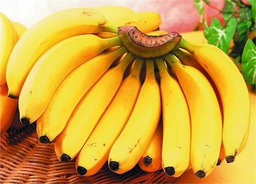 >黄香蕉苹果产地 增产不增收 淄博市场香蕉苹果跌至近五年来最低价