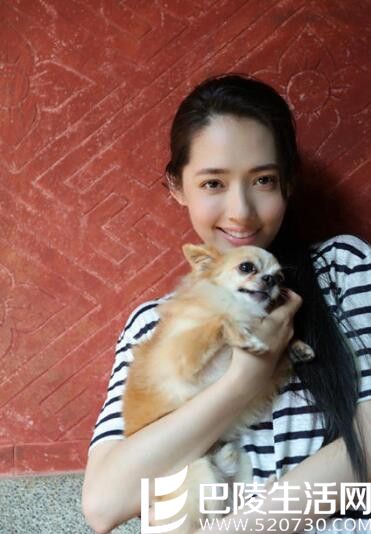 郭碧婷和她的小宠物合照欣赏 收养流浪动物获网友称赞