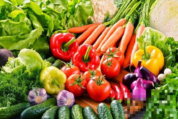 >【有机蔬菜】有机蔬菜的功效与作用详解推荐分类
