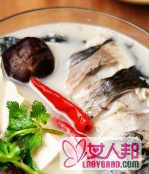 【黑鱼汤的功效】黑鱼汤的营养价值_黑鱼汤的家常做法