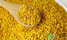 >蜂花粉的营养价值 蜂花粉的功效与作用