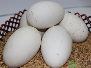 鹅蛋多少钱一斤？鹅蛋多少钱一斤2016？