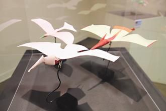 台湾老师研发8千种纸飞机折法 最远飞52 8米