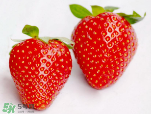 >五月份还有草莓吗？5月份还有草莓吗？