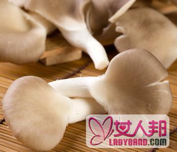【凤尾菇的营养价值】凤尾菇的做法_凤尾菇炒鸡肉