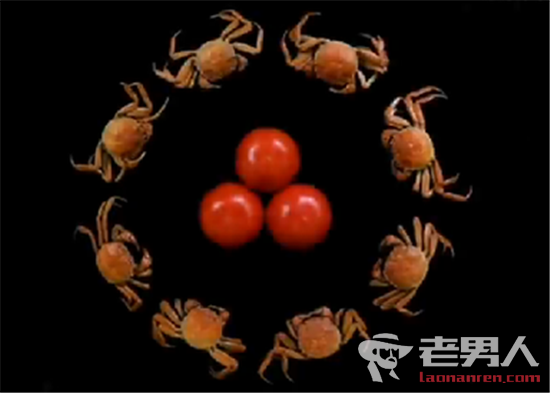>央视315晚会揭露食物相克谣言：西红柿和螃蟹可以同时吃