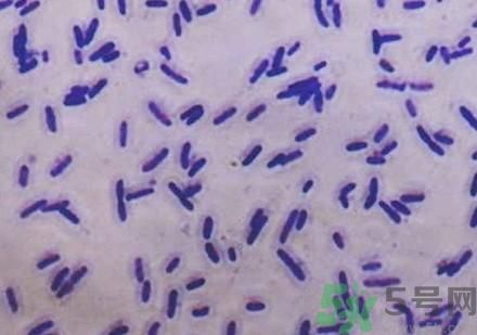 超级细菌感染后有什么症状?怎么预防超级细菌感染?