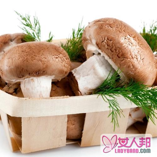 蘑菇的功效与作用及食用方法_蘑菇的营养价值