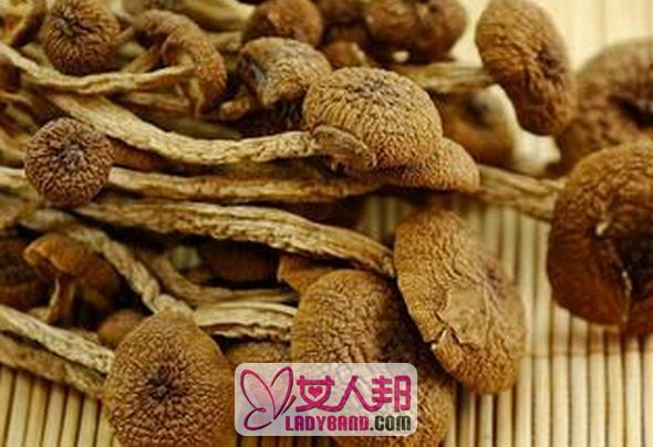 >茶树菇的功效与作用 吃茶树菇的好处