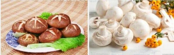 蘑菇和香菇的区别