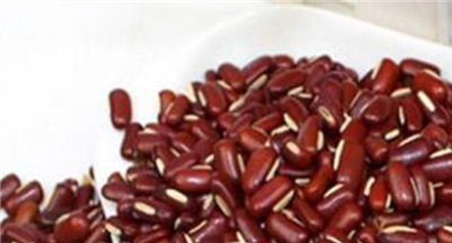 【什么是赤小豆】红豆和赤小豆有什么区别呢 哪个功效好?