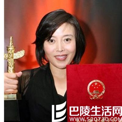 丁嘉丽获得最佳女演员,丁嘉丽演过的电视剧